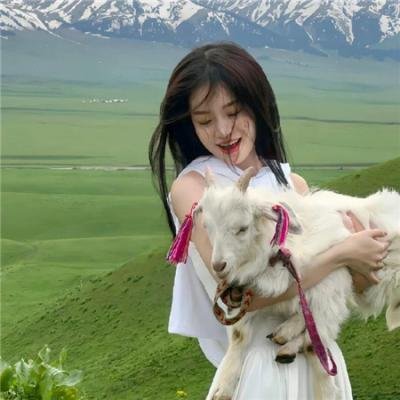 幽灵组合