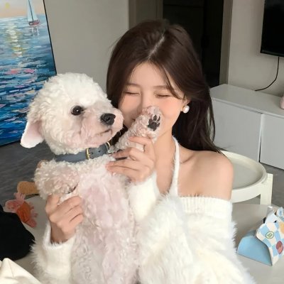 双重间谍